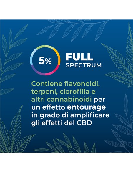 Olio CBD full-spectrum 5% secondaria