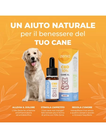 Zenia Olio CBD 10% Cane XL