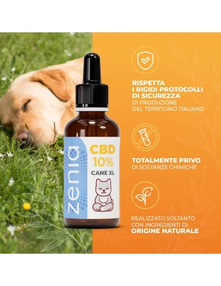 Zenia Olio CBD 10% Cane XL