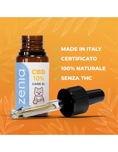 Zenia Olio CBD 10% Cane XL