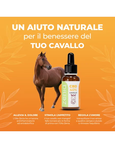 Olio CBD cavallo 40% secondaria